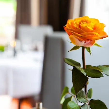 Hotel Landgasthof Toennes